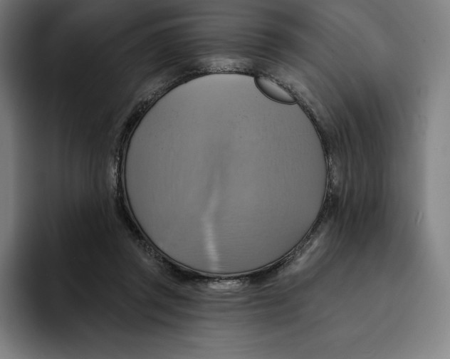 X0000094900357200712271457
