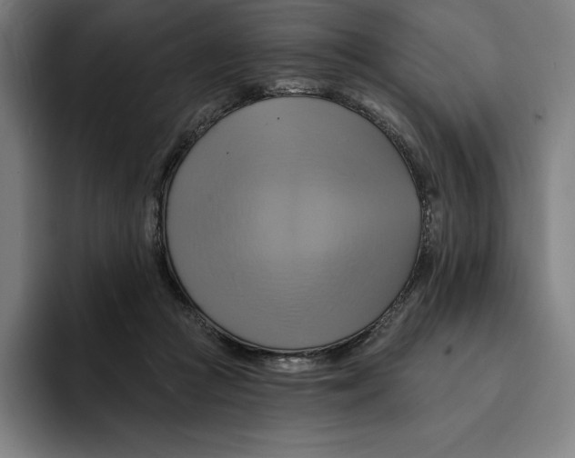 X0000094900361200712271457