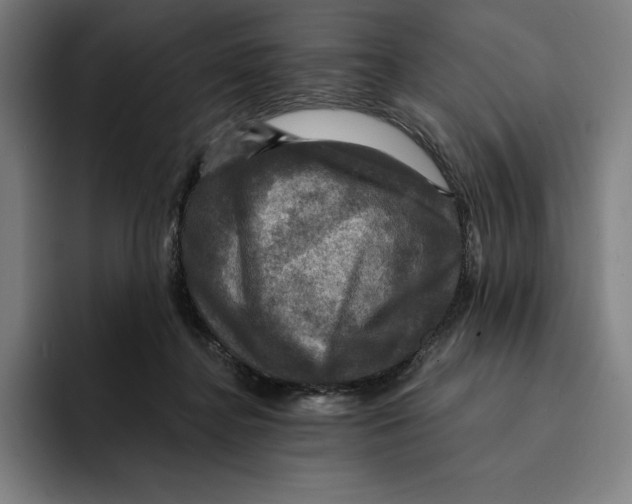 X0000094900364200712271457