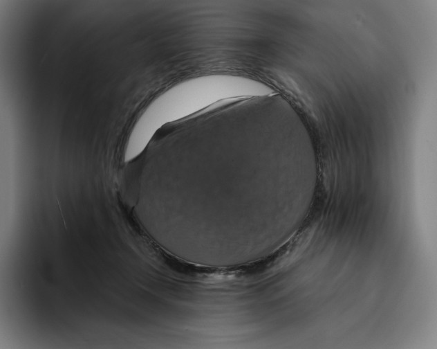 X0000094900366200712271457