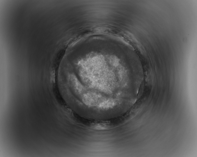 X0000094900368200712271457