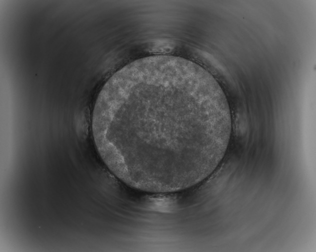 X0000094900370200712271457