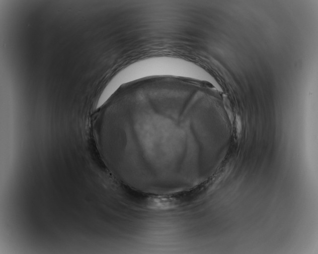 X0000094900372200712271457