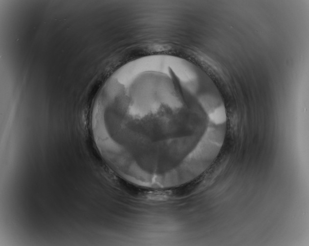 X0000094900373200712271457
