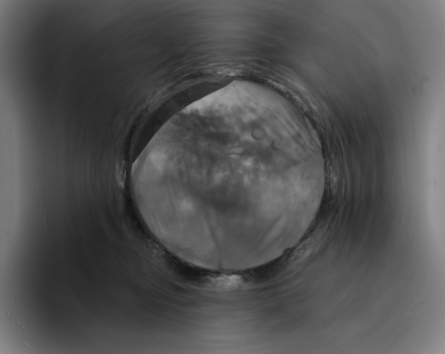 X0000094900374200712271457