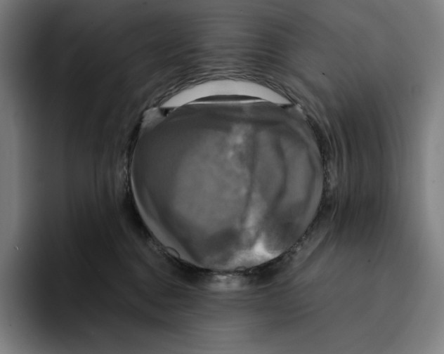 X0000094900376200712271457