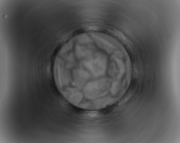 X0000094900377200712271457