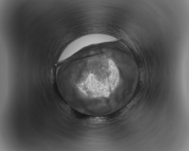 X0000094900378200712271457