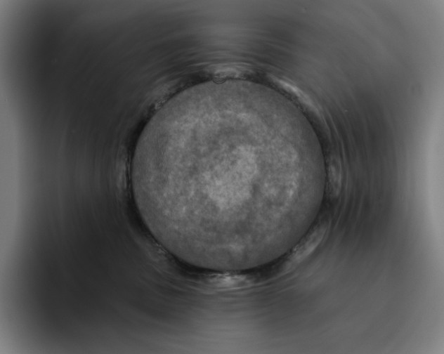 X0000094900379200712271457