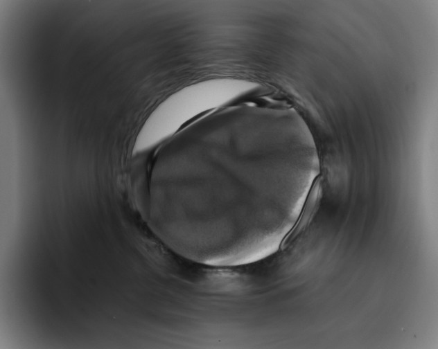 X0000094900380200712271457