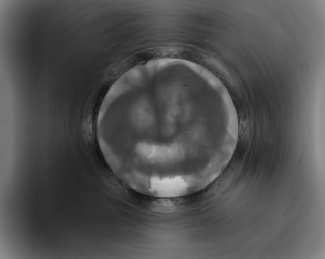 X0000094900381200712271457