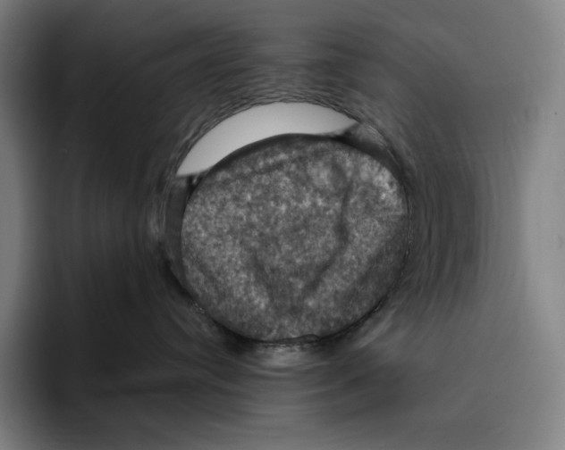 X0000094900384200712271457