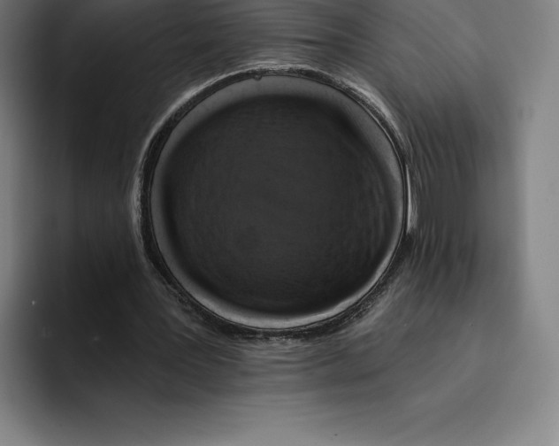 X0000094900387200712271456
