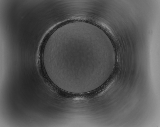 X0000094900388200712271456