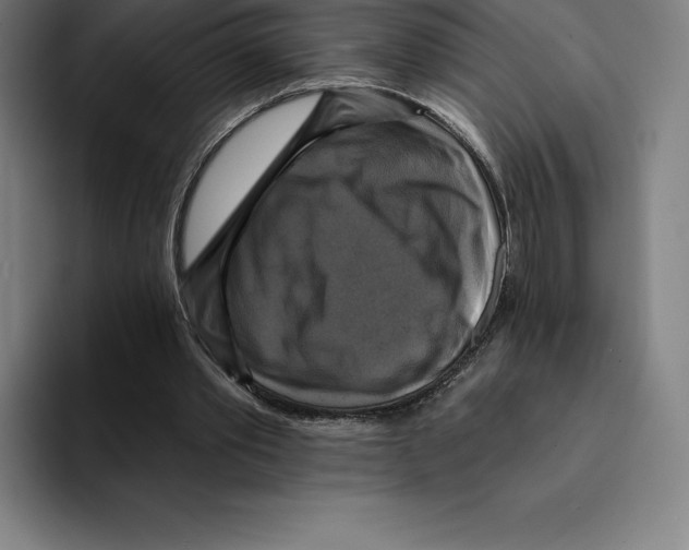 X0000094900389200712271456