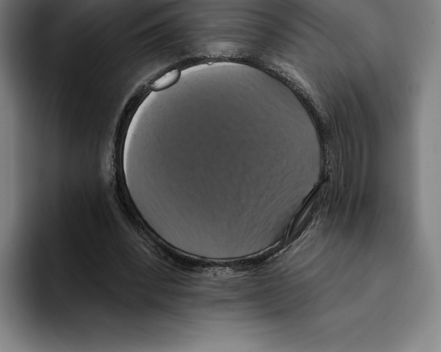 X0000094900392200712271456