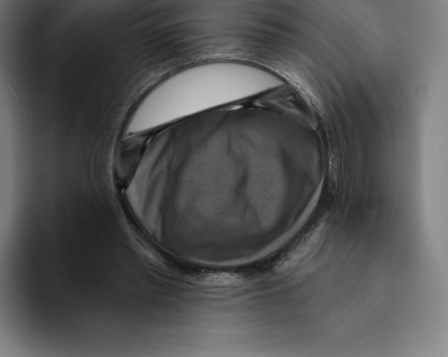 X0000094900397200712271456