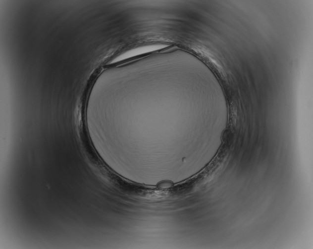 X0000094900398200712271456