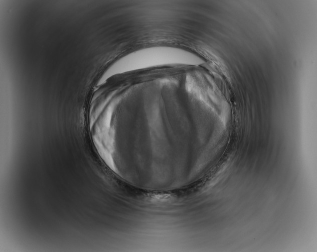 X0000094900401200712271456
