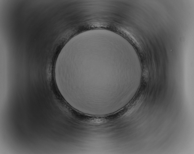 X0000094900402200712271456