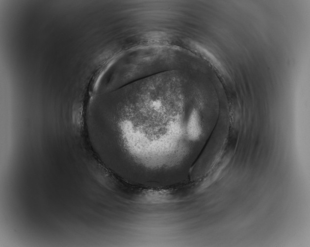 X0000094900403200712271456