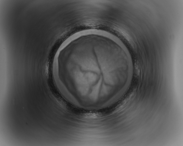 X0000094900404200712271456