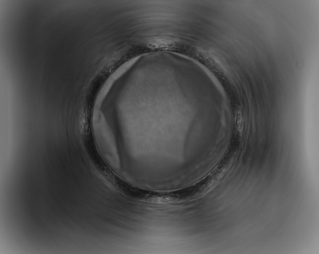 X0000094900408200712271456