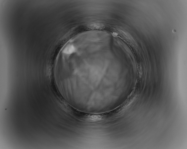 X0000094900409200712271456