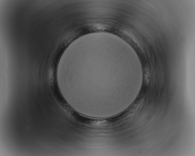 X0000094900410200712271456