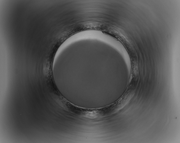 X0000094900411200712271456