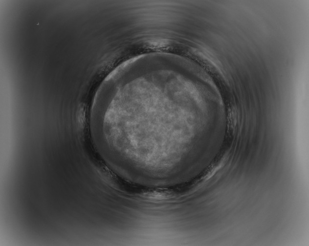 X0000094900412200712271456