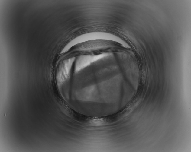 X0000094900413200712271456