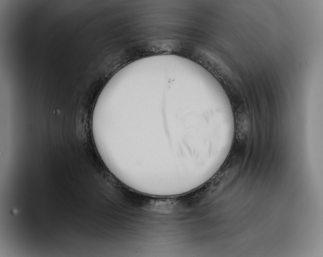 X0000094900414200712271456
