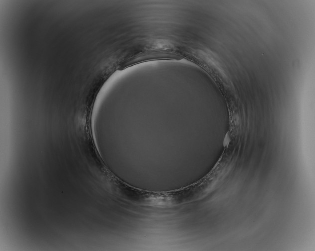 X0000094900415200712271456