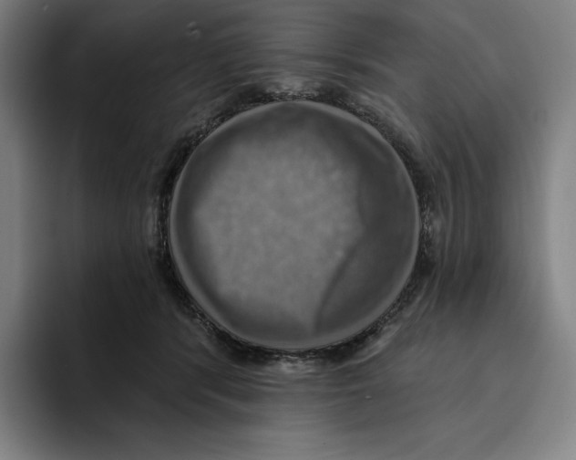X0000094900416200712271456