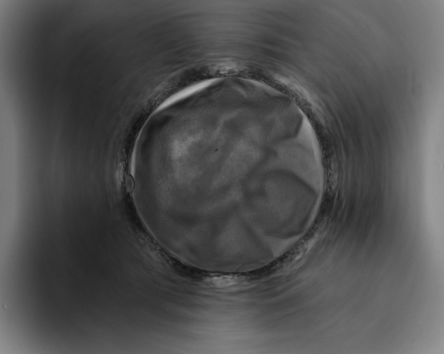 X0000094900417200712271456