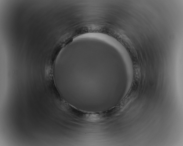X0000094900419200712271456