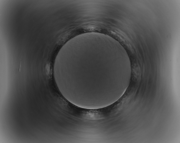 X0000094900420200712271456