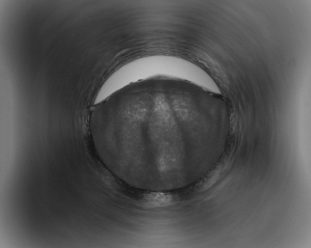 X0000094900421200712271456