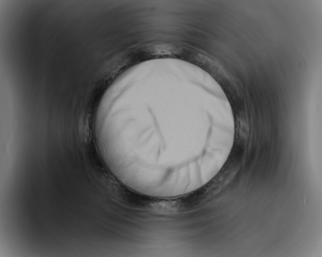 X0000094900422200712271456