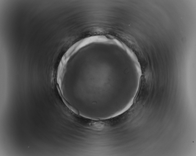 X0000094900423200712271456