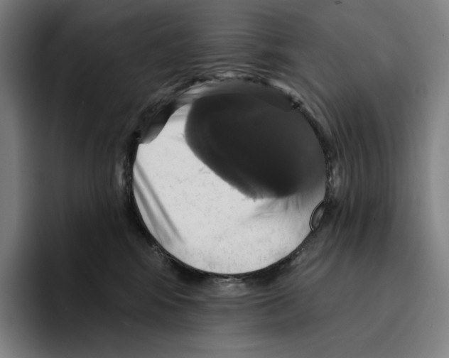 X0000094900424200712271456