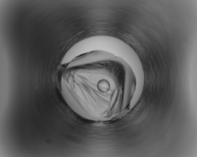 X0000094900425200712271456