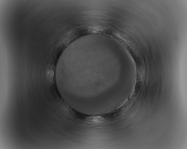 X0000094900427200712271456