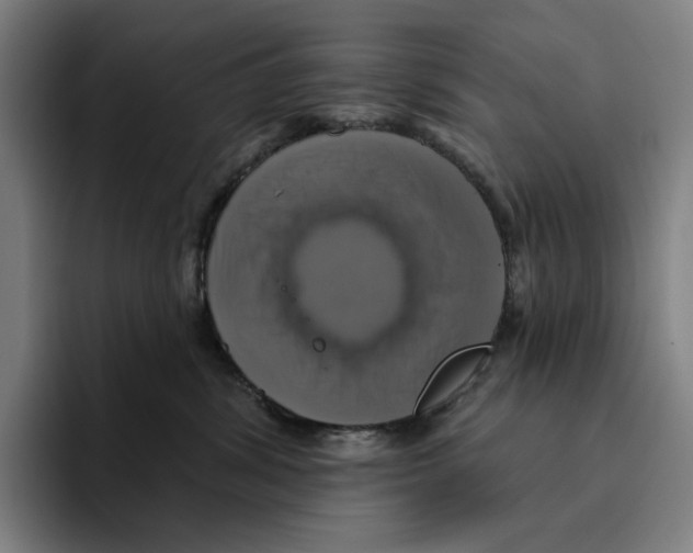 X0000094900428200712271456
