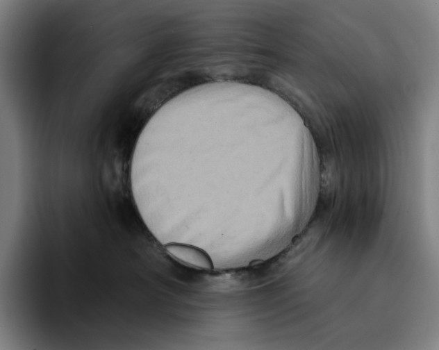 X0000094900430200712271456