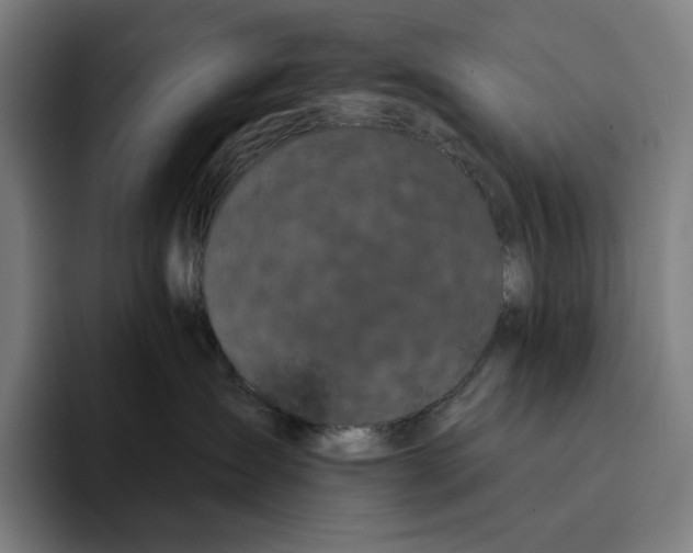 X0000094900431200712271456