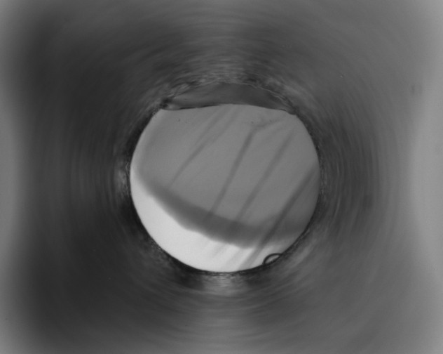 X0000094900432200712271456