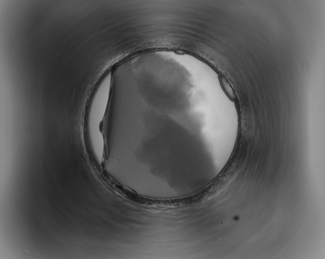 X0000094900434200712271455