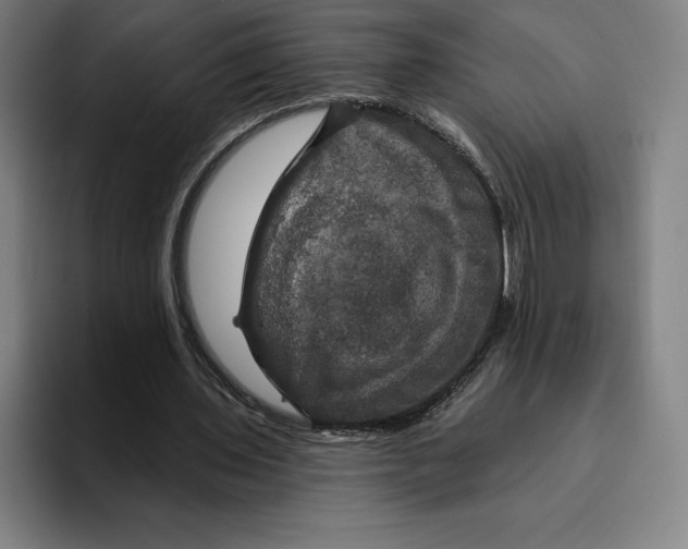 X0000094900435200712271455